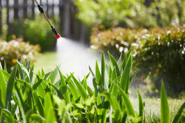 Tamper-Resistant Bait Stations for Rodents in Shelter Island Heights
