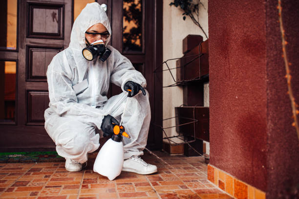 Attic and Crawl Space Rodent Treatment in Shelter Island Heights