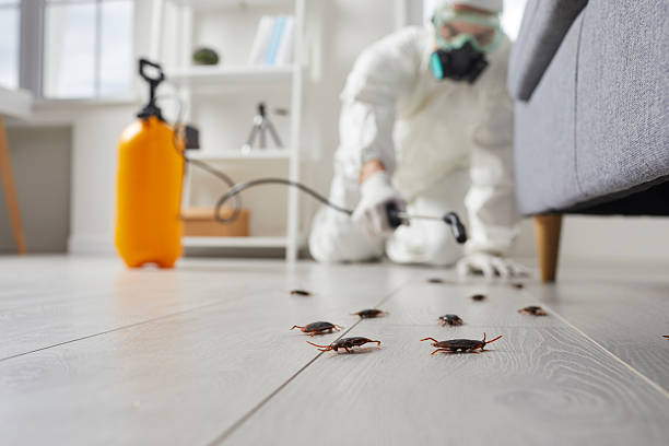 Commercial Rodent Management in Shelter Island Heights