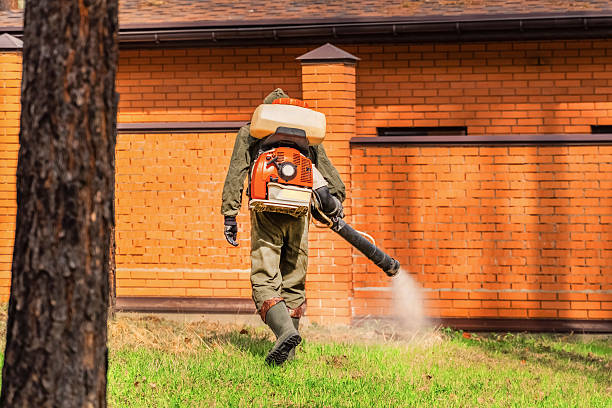 Rodent Follow-Up Monitoring in Shelter Island Heights